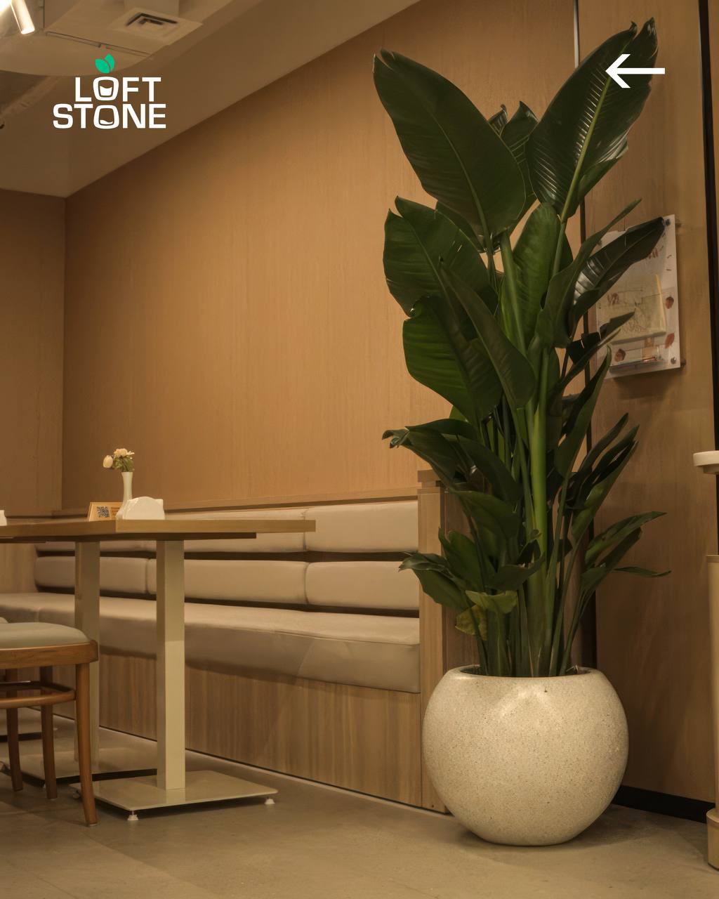 Atributies — Loft Stone marmar-kompozit beton mahsuloti 3